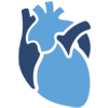 CPR and cardiac defibrillation